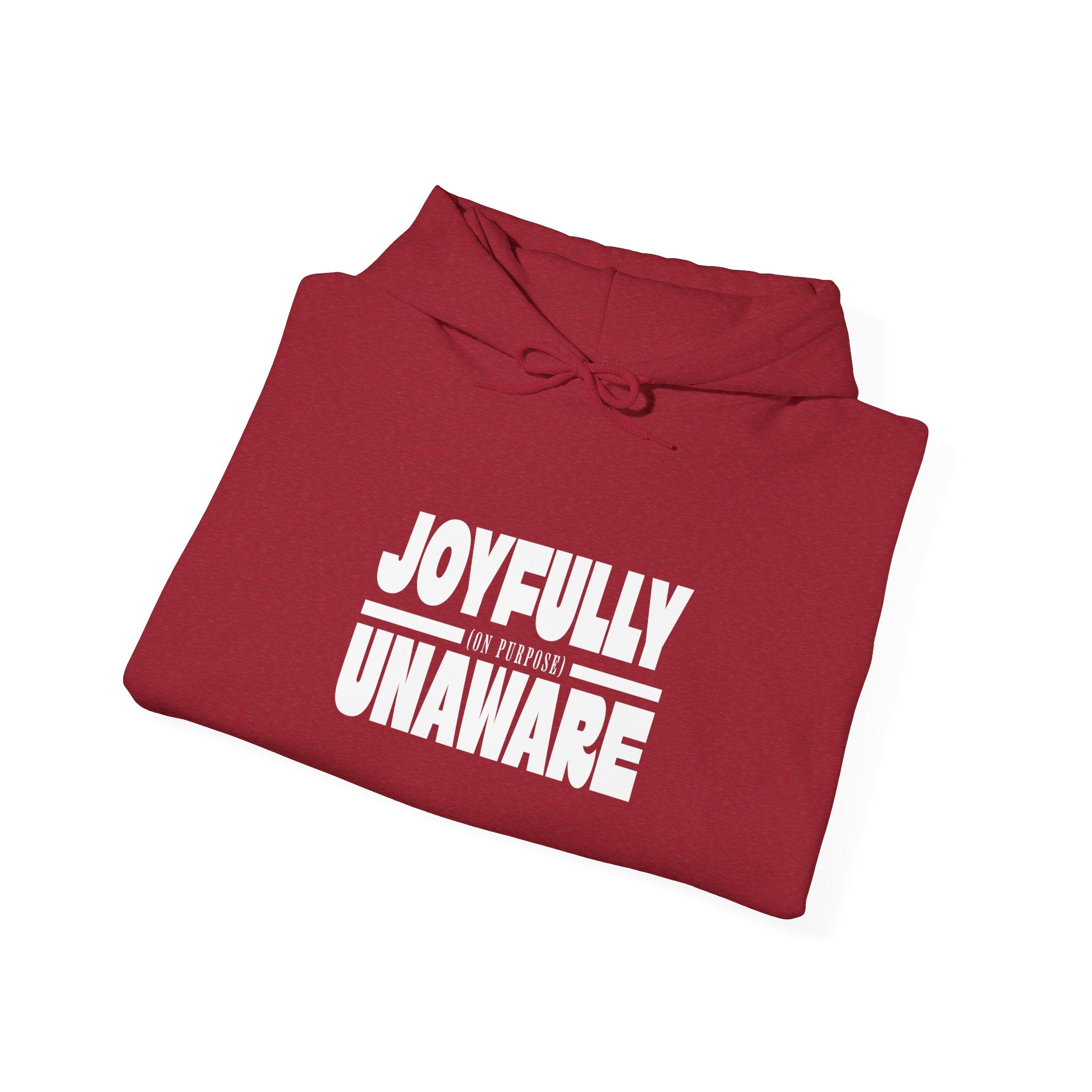 Joyfully Unaware (on purpose) Midweight Hoodie | Funny, typography, cozy hoodie