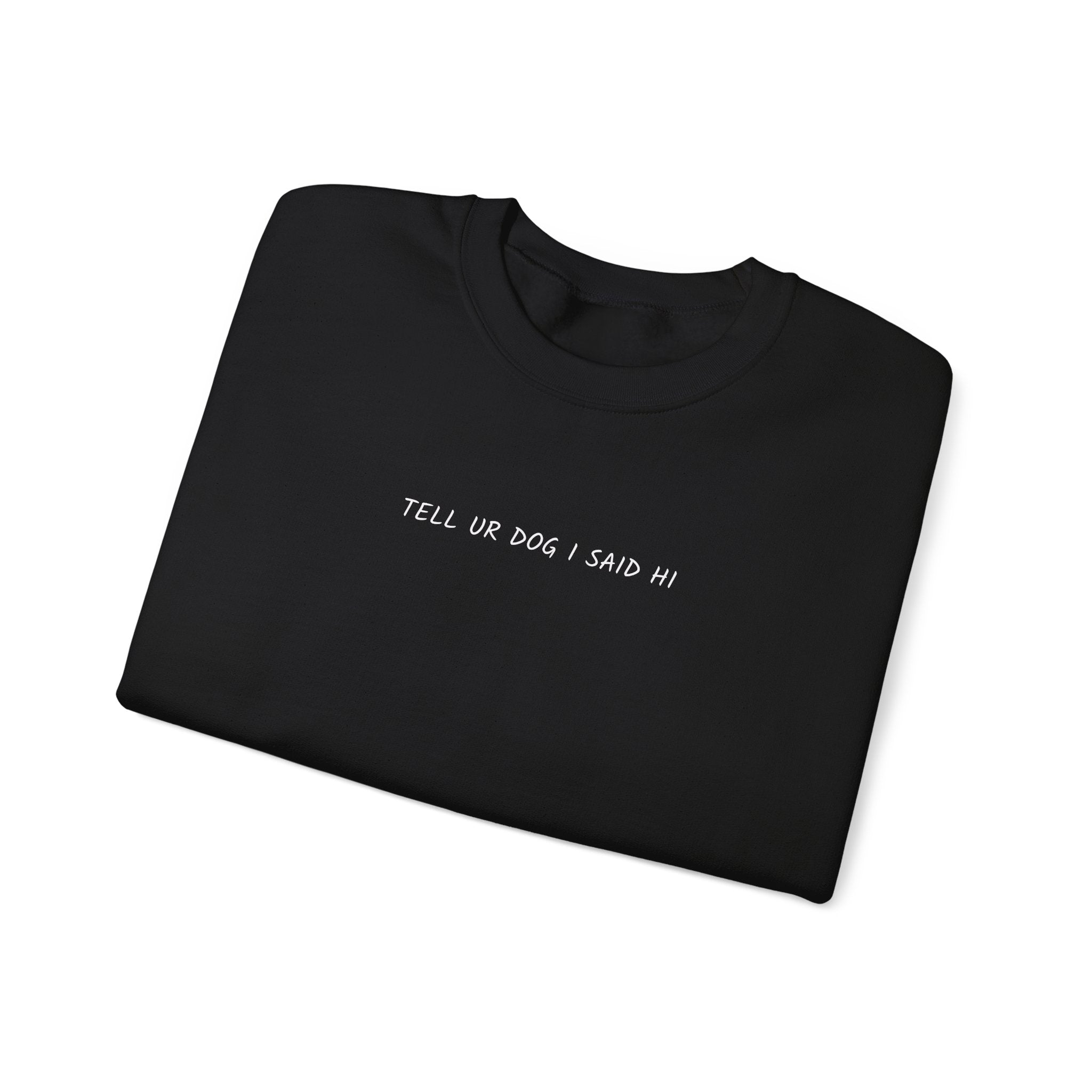 Crewneck Sweatshirt - "Tell Ur Dog I Said Hi" Minimalist Graphic Pullover